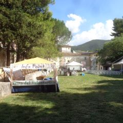 Al via la 16° festa del volontariato a Spoleto!